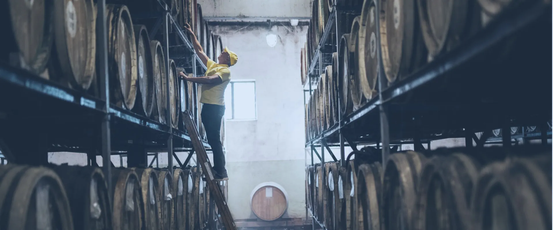 Distilled Spirits